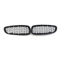 Diamond Style Front Bumper Kidney Grilles for BMW Z4 E89 (2009–2016)