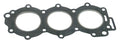 WSM Gasket for
