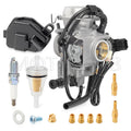 Carburetor & Spark Plug for Honda Foreman Rubicon 500 TRX500 (2001–2012)