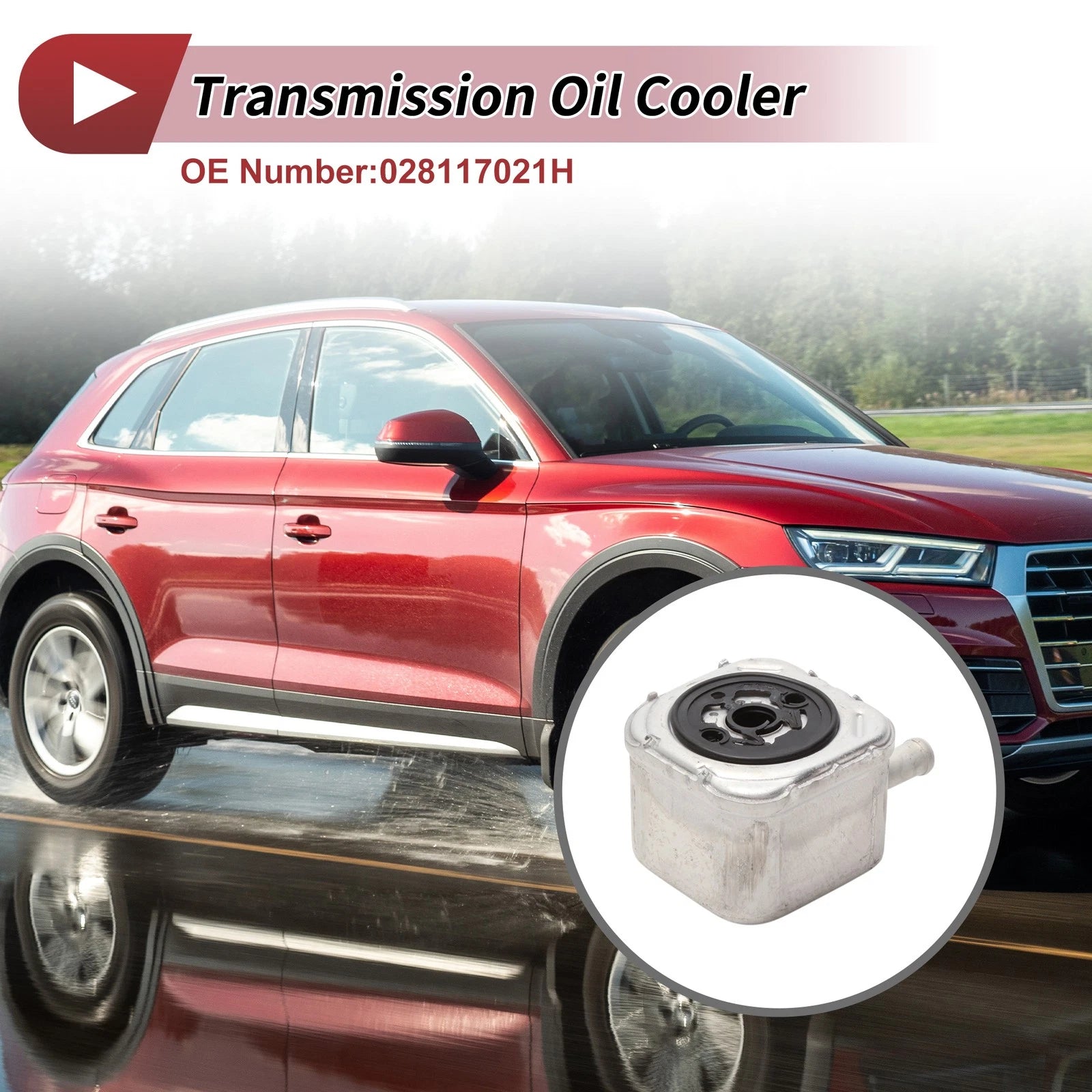 Engine Oil Cooler Replacement for Audi A4 2002-2005 V6 3.0L B6