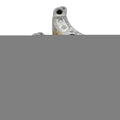 Clutch Weight Shoes w/Springs for Honda ACG110C Zoomer 110 (2016–2023) T9