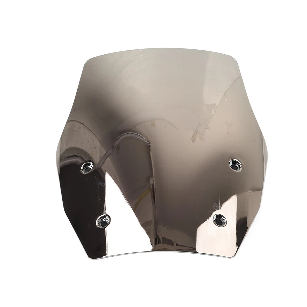 Windshield Wind Deflector for BMW R1300GS (2024)