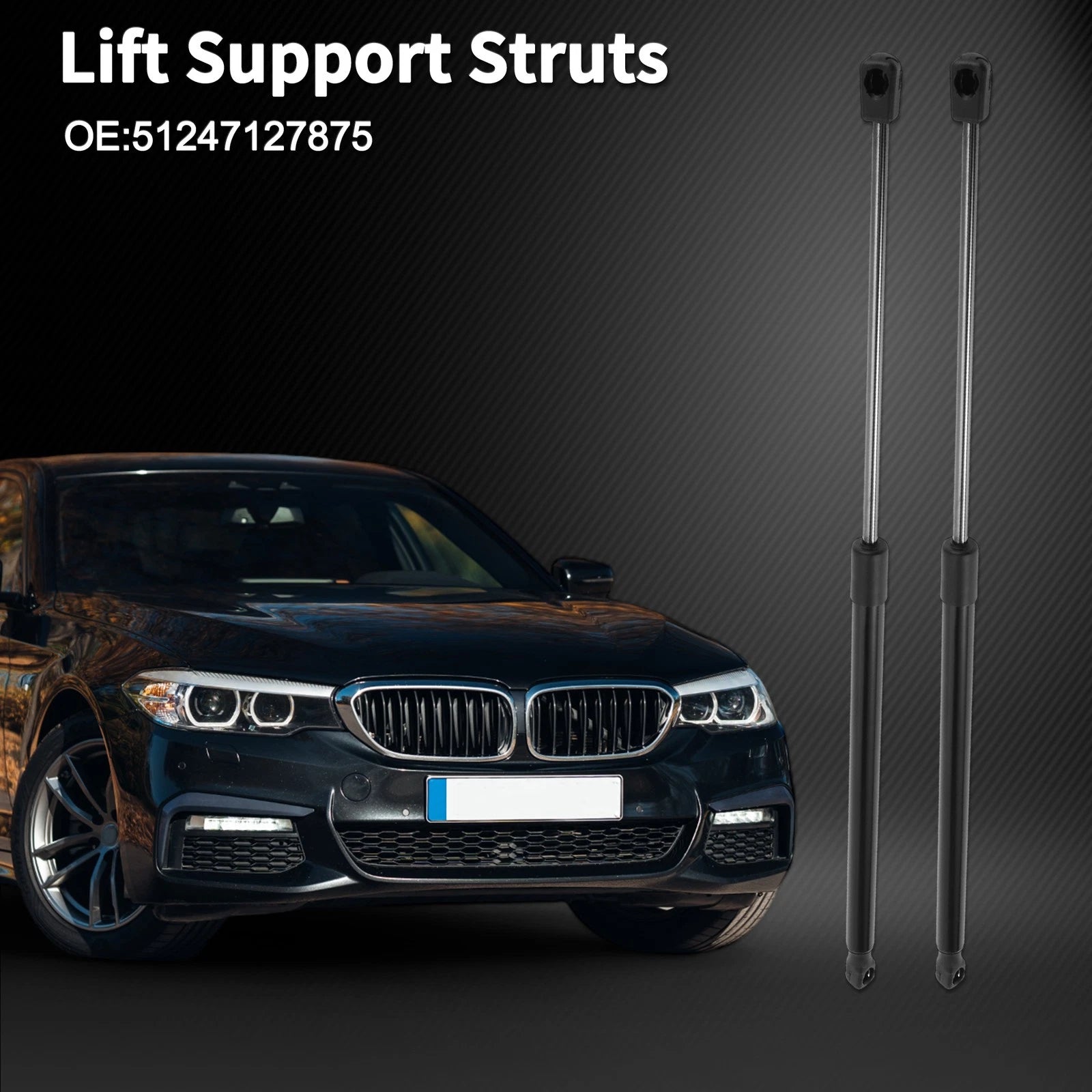 Tailgate Lift Supports Struts for BMW 3 Series E91 Touring (2006–2011)