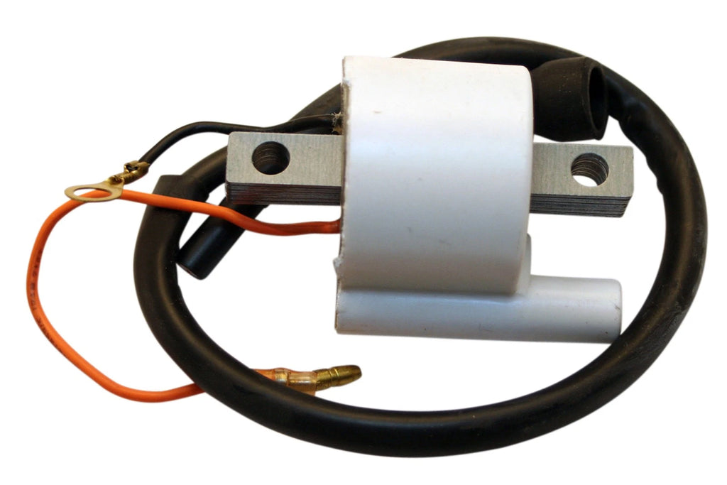 Ignition Coil for Yamaha Big Wheel 200, Raptor 250, TW200, YSR50, TT225, TTR225, XT250