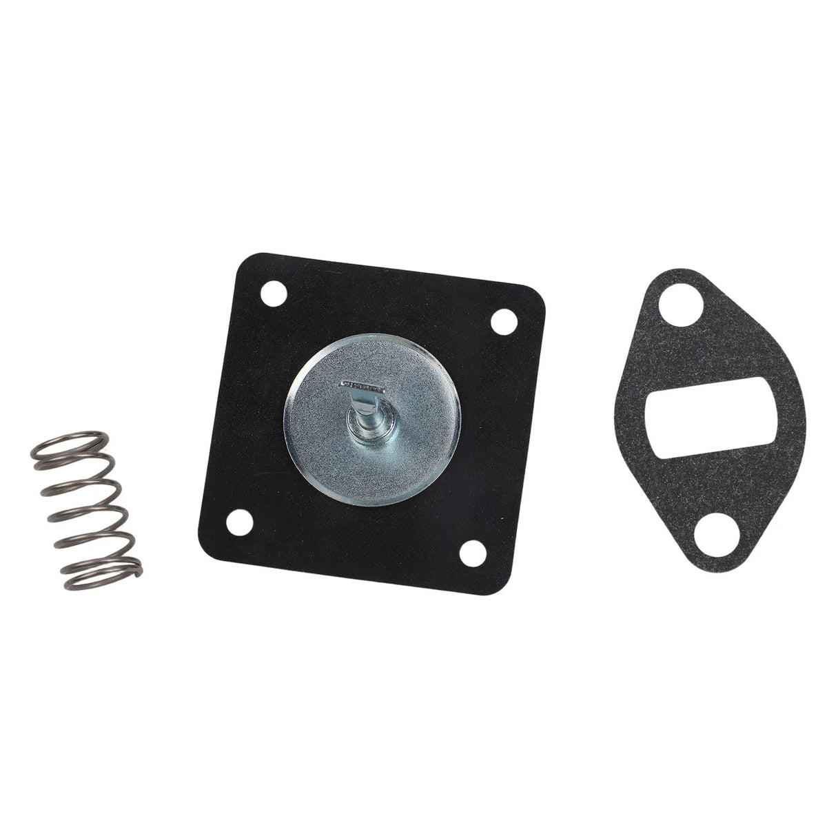 Pump Rebuild Kit for Lawn Mower (K341, K181, K161)
