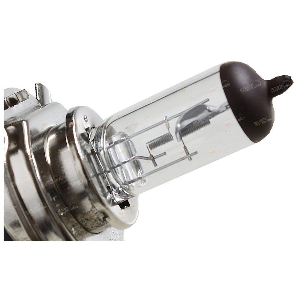 Universal Headlight w/Globe for Ford Courier/Mitsubishi Triton (1982–2006)