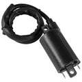 Ignition Coil Replacement for Honda FourTrax Rincon 680 (2006–2009)