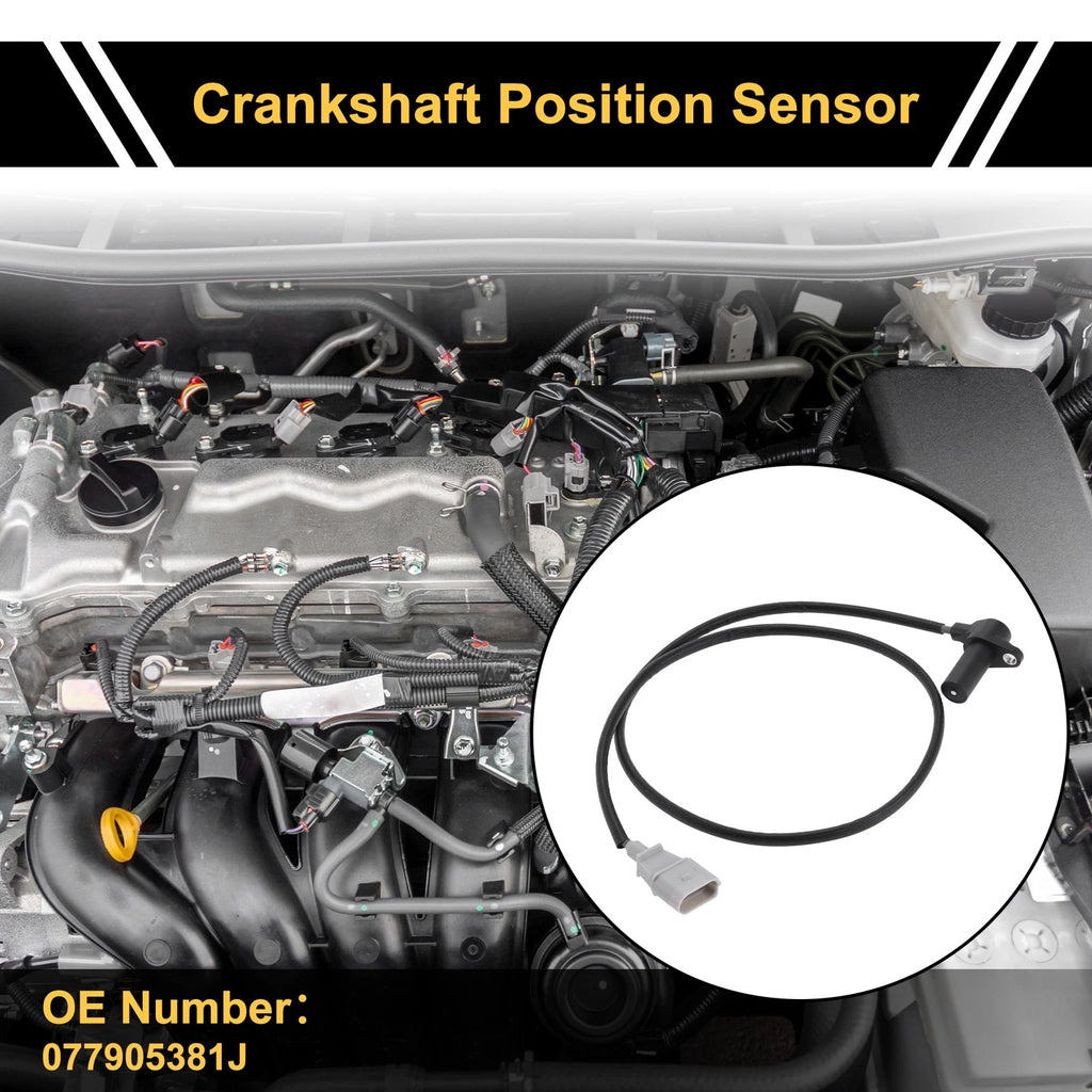 Crankshaft Position Sensor Replacement for Audi A8 D3 3.7 quattro (2002–2006)