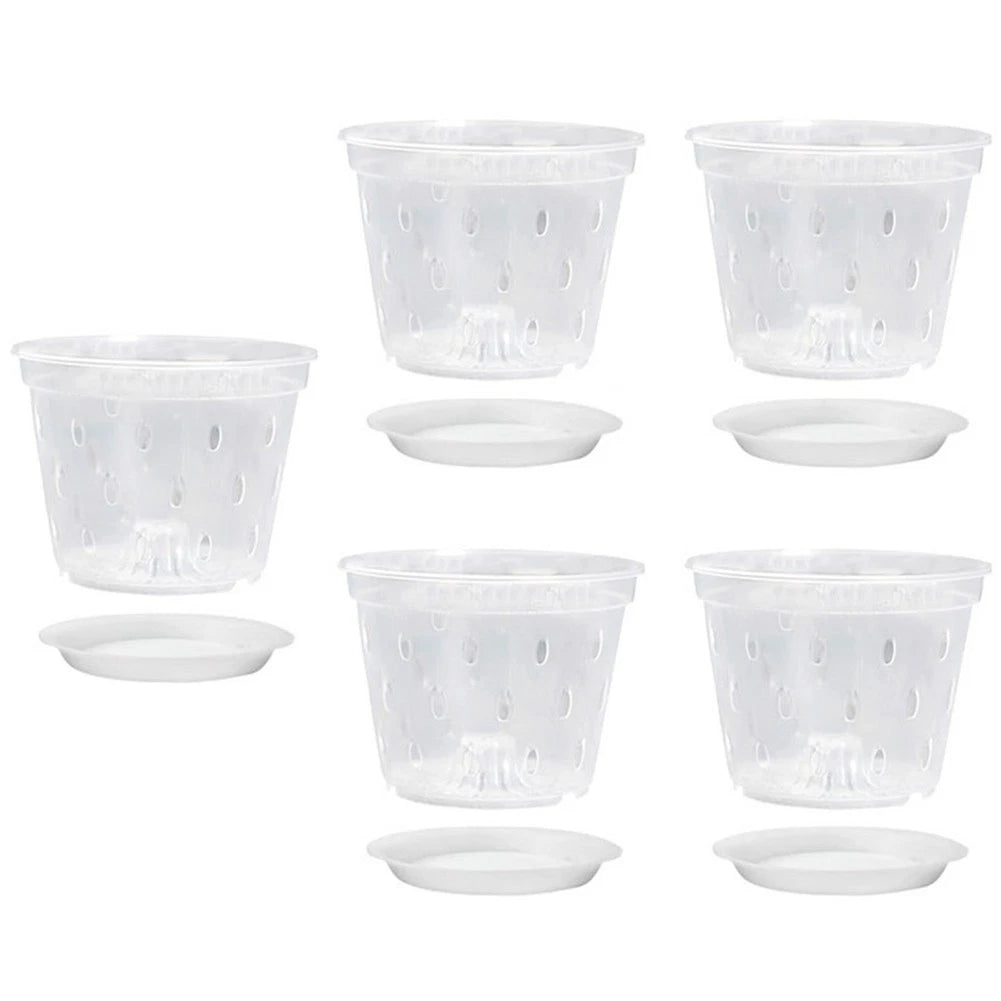 Clear Plastic Orchid Planters for Effective Drainage