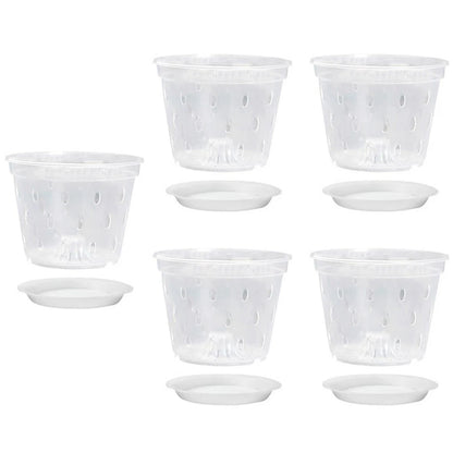 Clear Plastic Orchid Planters for Effective Drainage