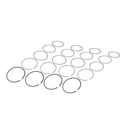 Set of 4 Piston Rings Kit STD for Honda CBR929 (2002–2003)