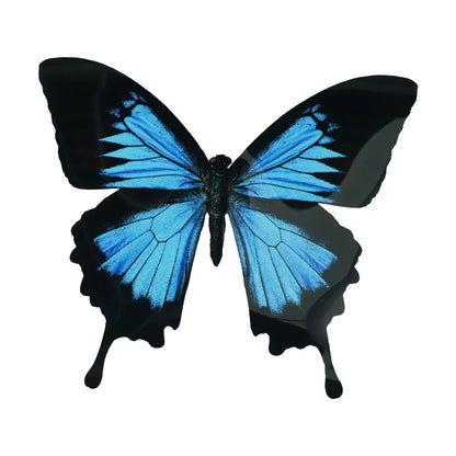 PVC Weather Resistant Butterfly Stickers for Home Outdoors