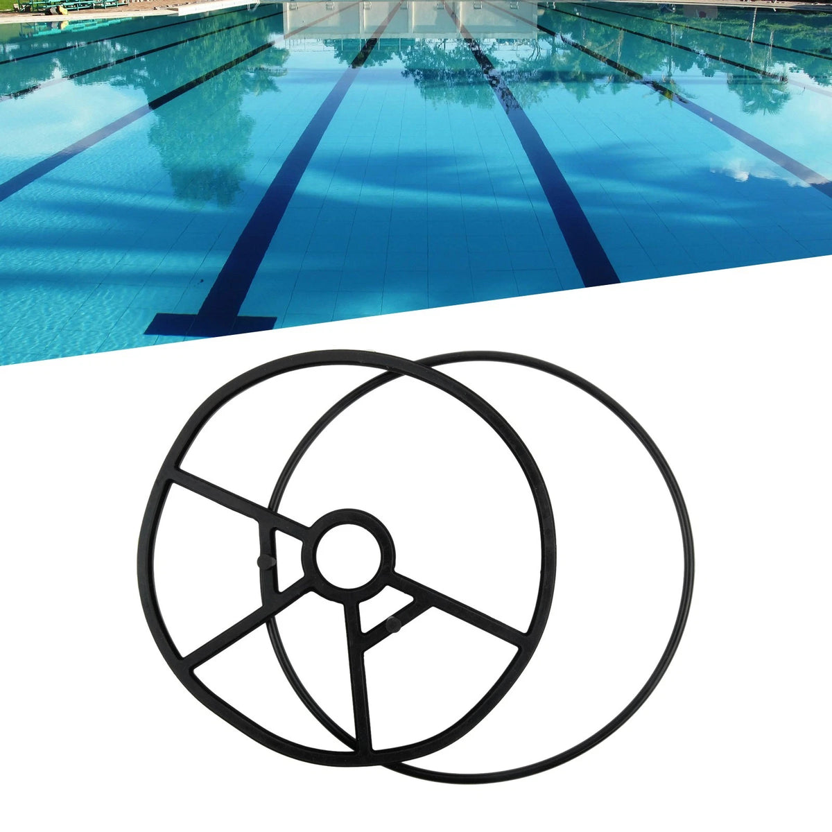 O Ring and Gasket for Pro Series Sand Filter System