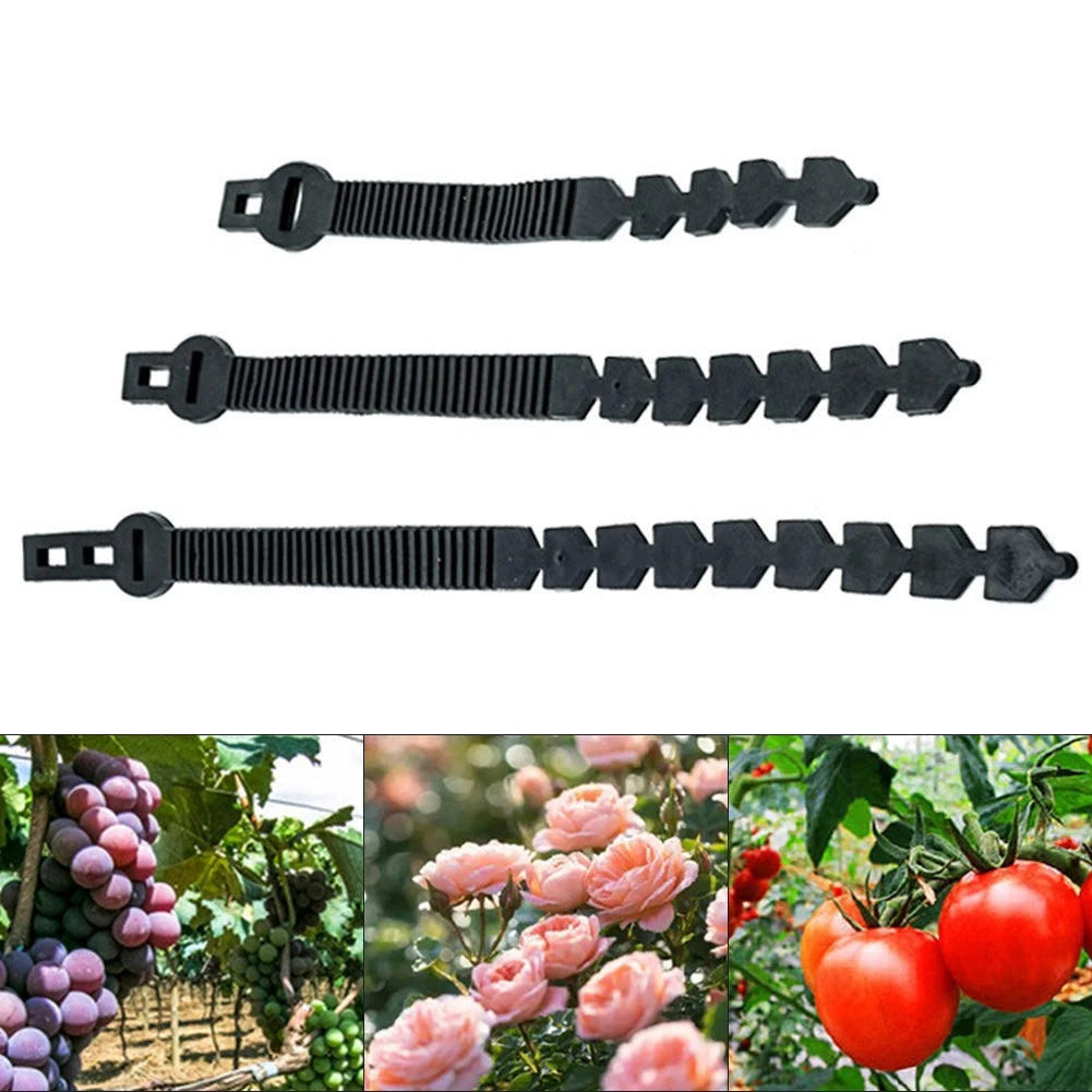 Interlock Garden Tree Ties for Indoor Plants (No specific years/models)