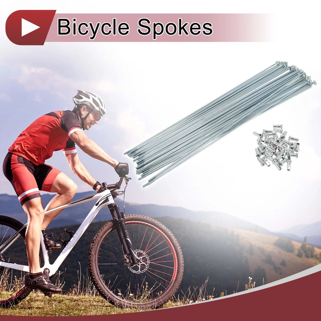 Bicycle Spokes Set Galvanized Carbon Steel 295mm for 12G (38 Pack)