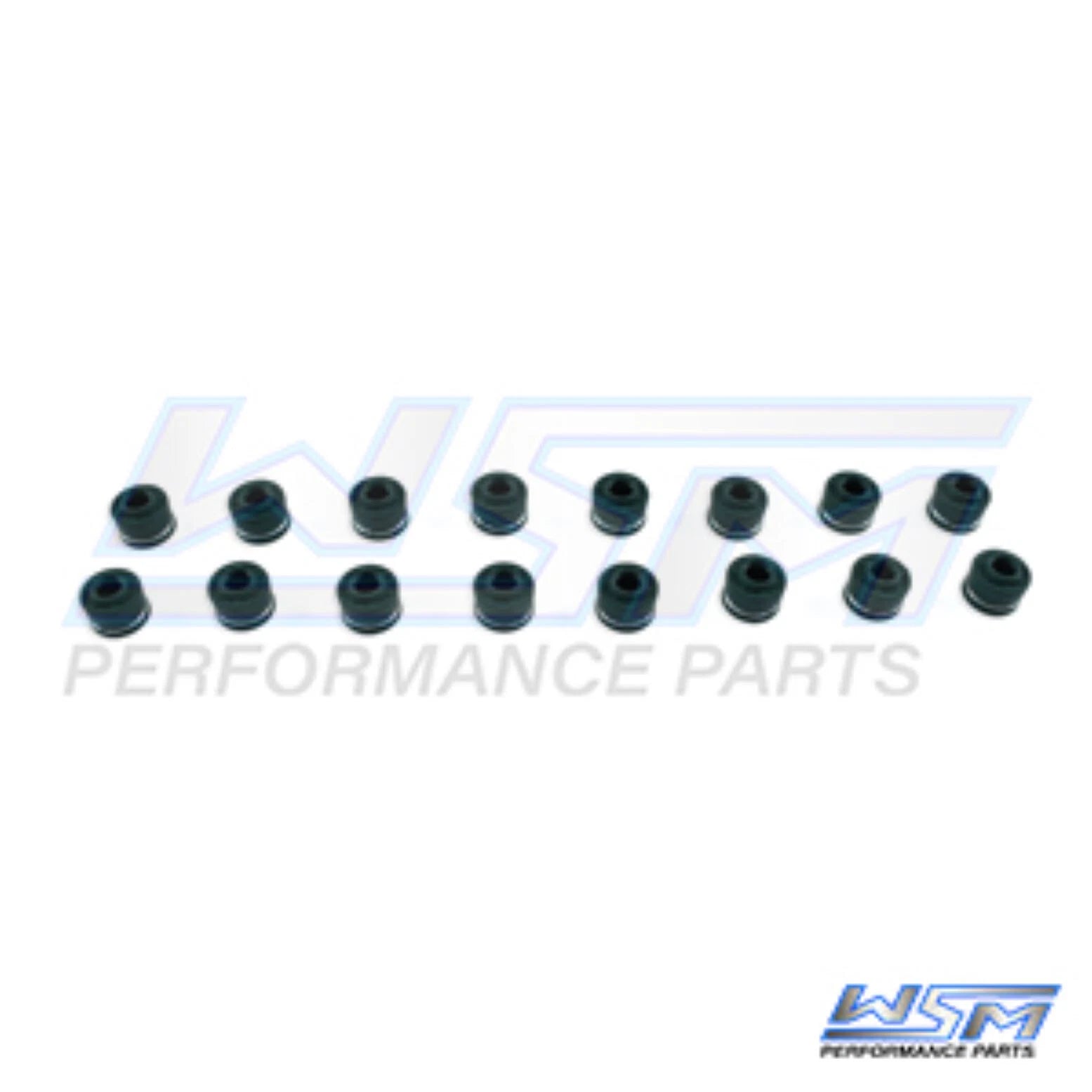 WSM Valve Stem Seal Pack of 16 for 2.5 - 350 Hp (1000-1900) - 010-053K