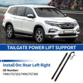 Rear LH RH Tailgate Power Lift Support Replacement for Honda Pilot (2016–2021)