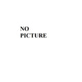 WSM Oil Seal for