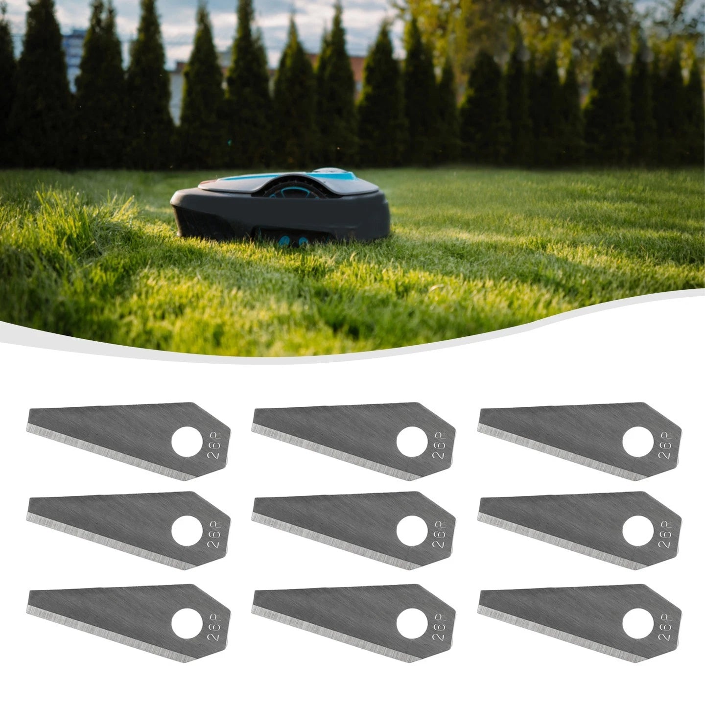 Replacement Blades for Bosch Gold Robot Sliver (No Cutting)