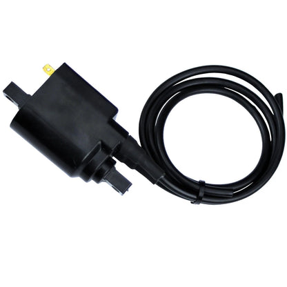 Ignition Coil for SeaDoo GTI GTS GTX HX SP SPI SPX (580 587 650 657)