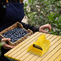 Blueberry Picker Tool for Efficient Harvesting (Large Capacity)