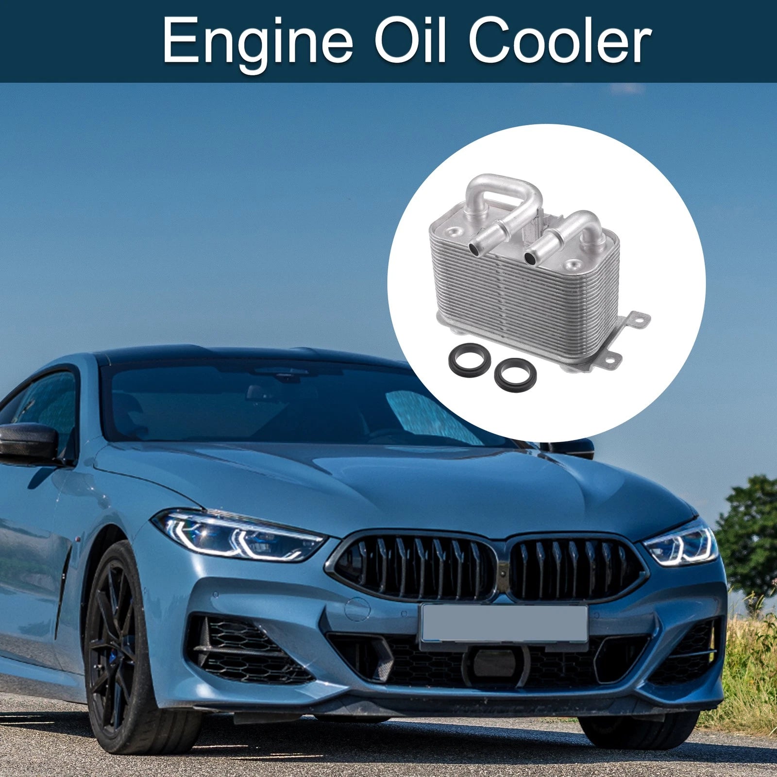 Engine Oil Cooler Assembly with Seals for BMW 535i (2008–2010)