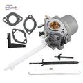 Carburetor for Briggs & Stratton (Fits 796122, 696737, 794593, 793161, 20M114, 20A414)