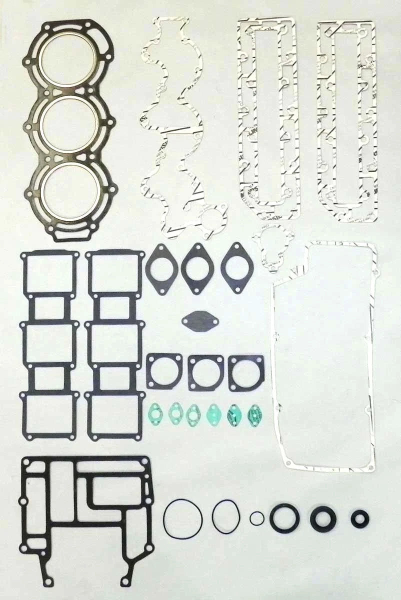 Gasket Kit for WSM
