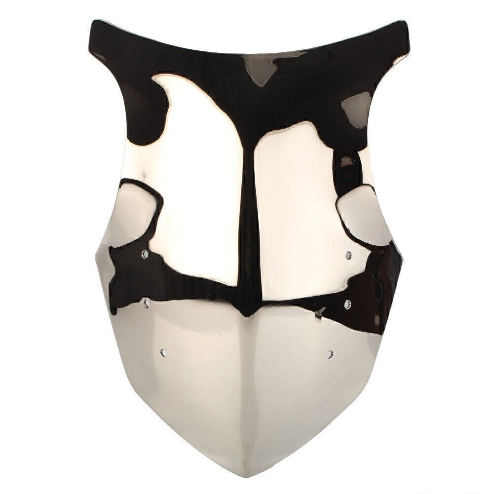 Windshield for Kawasaki Ninja 1000 Z1000SX (2011–2016) Silver