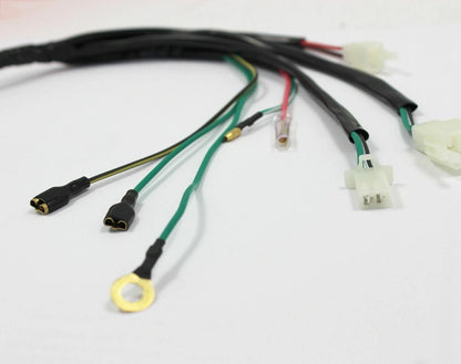 Wire Harness Connector Assembly for LFw150cc ZS 155cc (2015–2023)