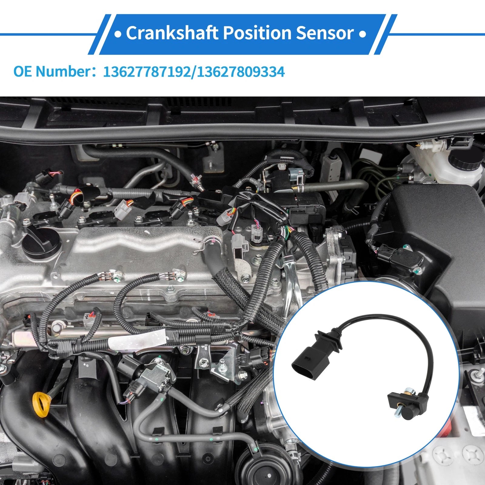 Crankshaft Position Sensor Replacement for BMW X5 E70 3.0d (2006–2008)