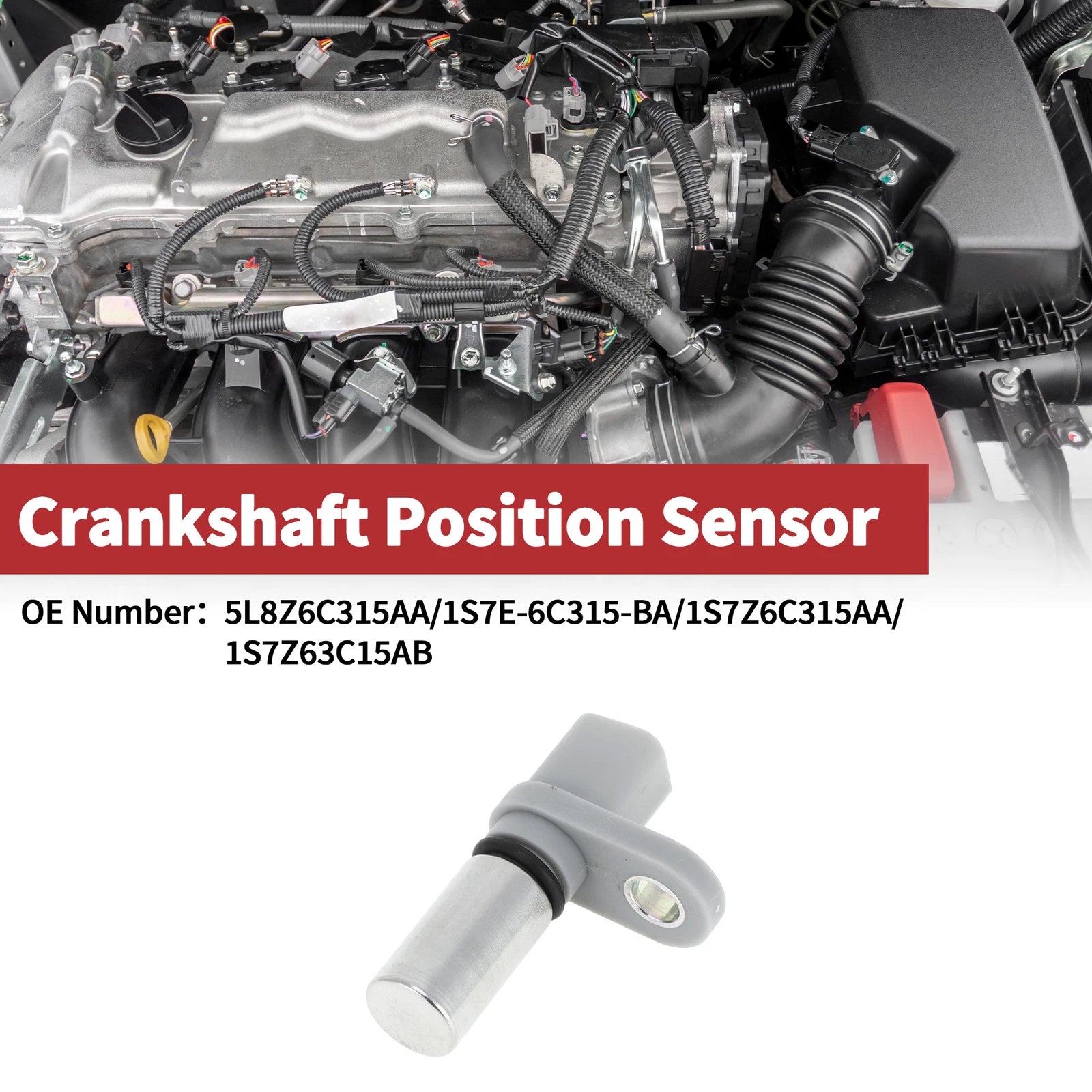 Crankshaft Position Sensor for Ford Escape 3.0 (2006–2012) OEM Replacement