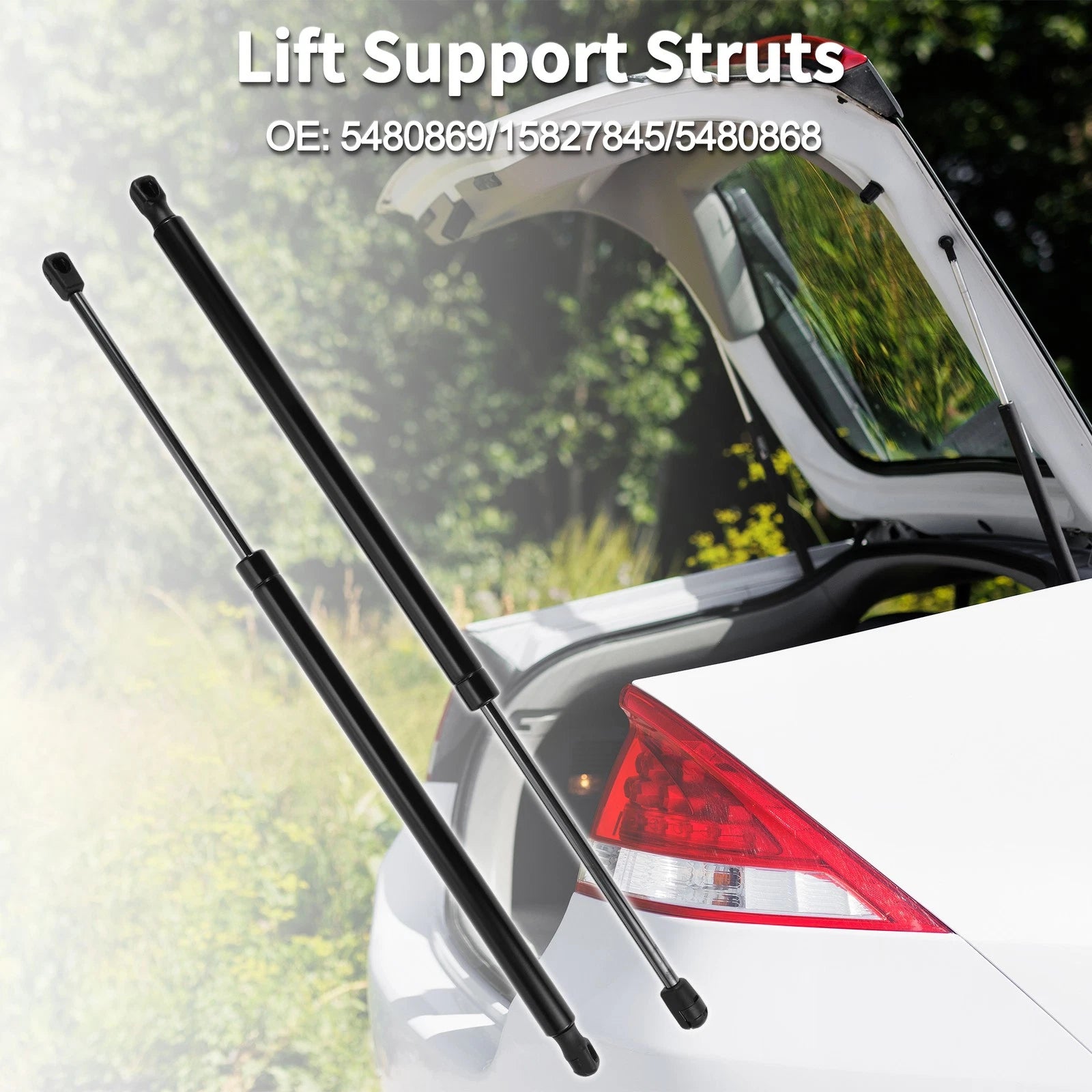 Rear Hatch Lift Supports Replacement for Chevrolet Equinox (2010–2017)
