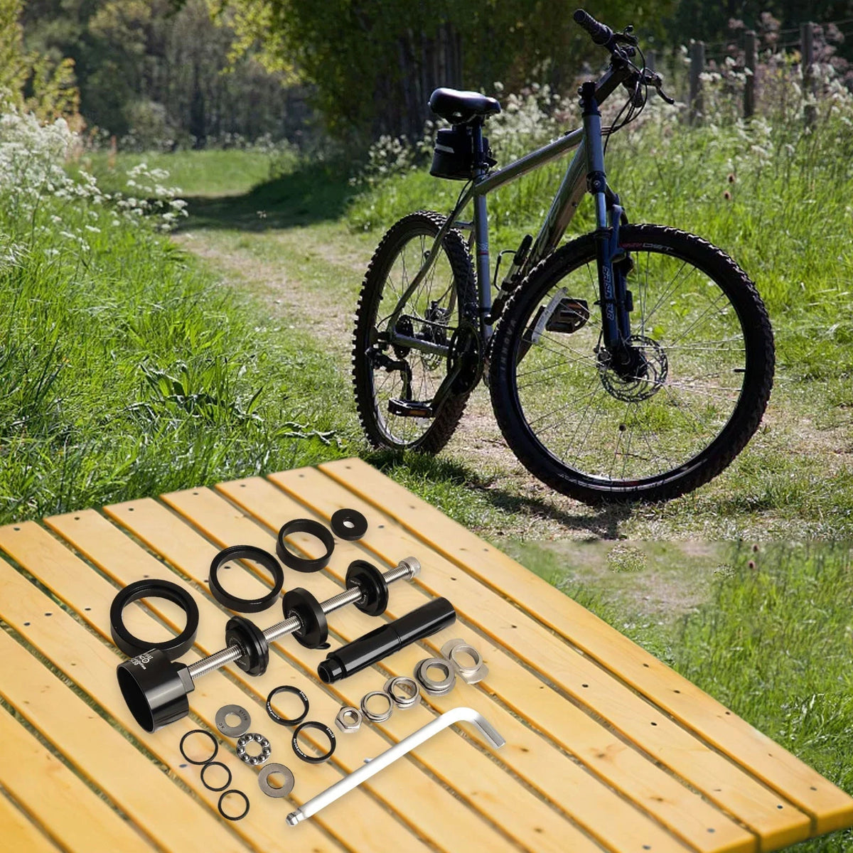Axle Bearing Tool for Bicycle (Static Removal)