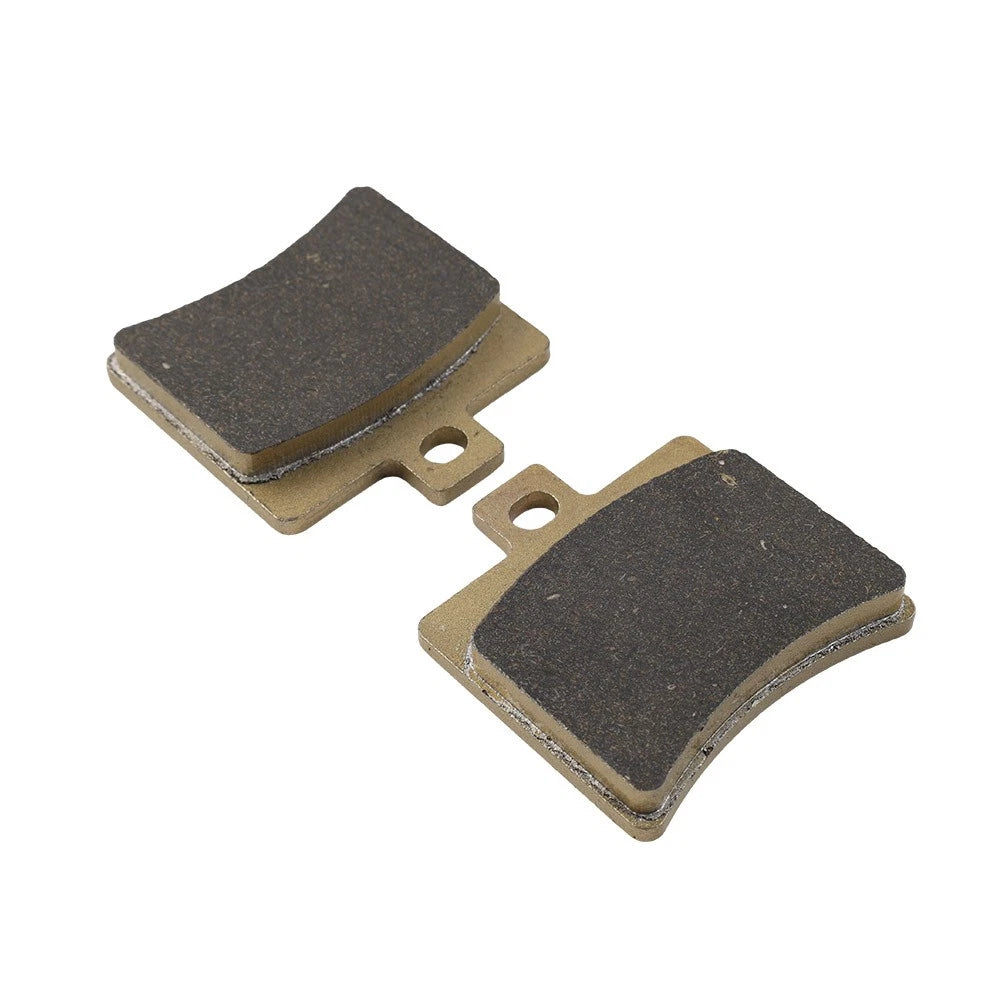 Rear Brake Pads for Aprilia RS 125 (2006–2014) - Radial Caliper, 2T Pair