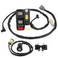 Handlebar Switch & Ignition Key Switch for Honda Rancher 350 TRX350FE/TE (2006)