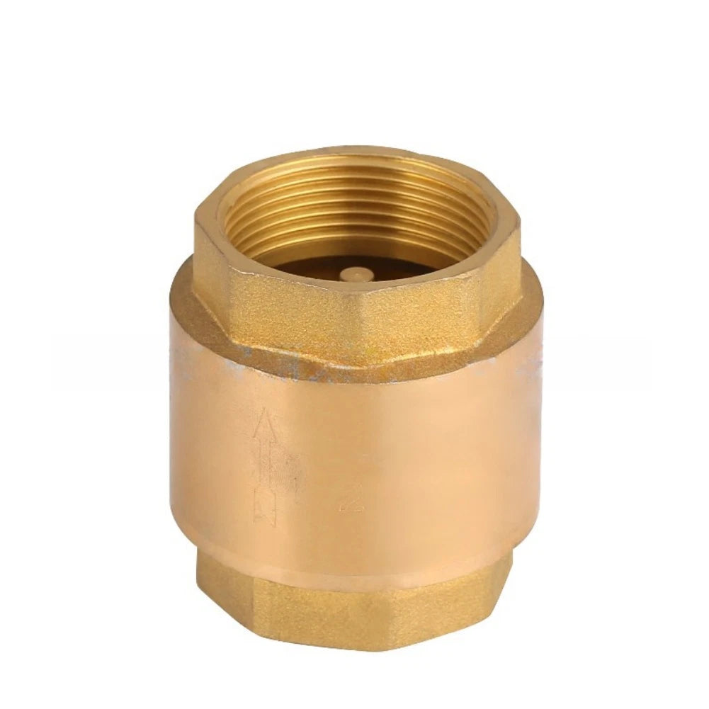 Vertical Check Valve DN20 for Water Pipes (4 Inch NPT Thread)