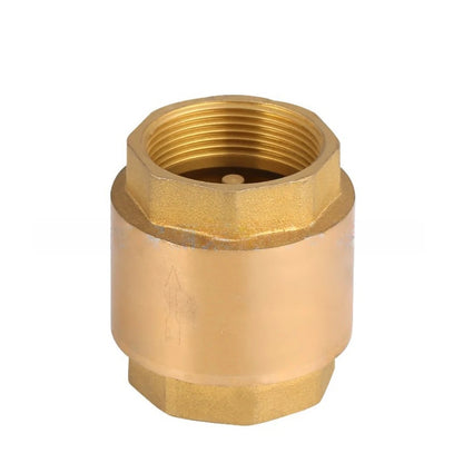 Vertical Check Valve DN20 for Water Pipes (4 Inch NPT Thread)