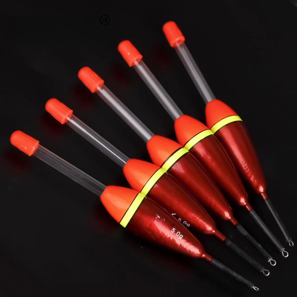 5pcs Vertical Buoy for Carp Fishing (4g, 5g, 6g)