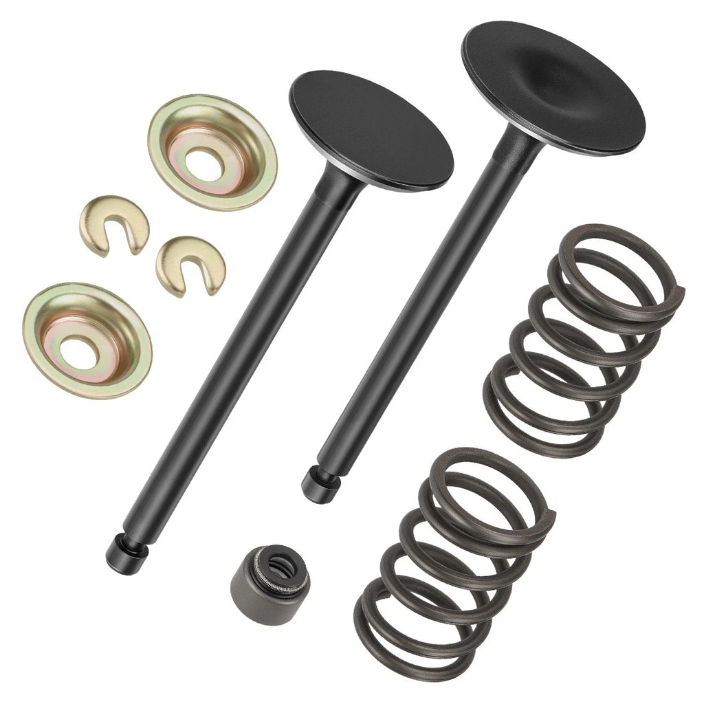 Intake & Exhaust Valve Kit with Springs & Seals for Yamaha Golf Cart G11-G21 (1995–2002)