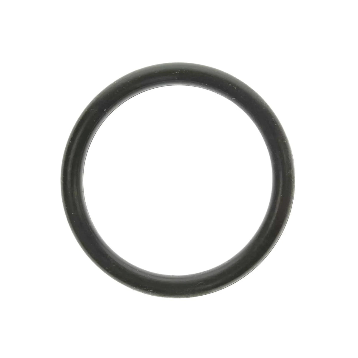 2X O-Ring for OMC BRP (0302493, 302493)