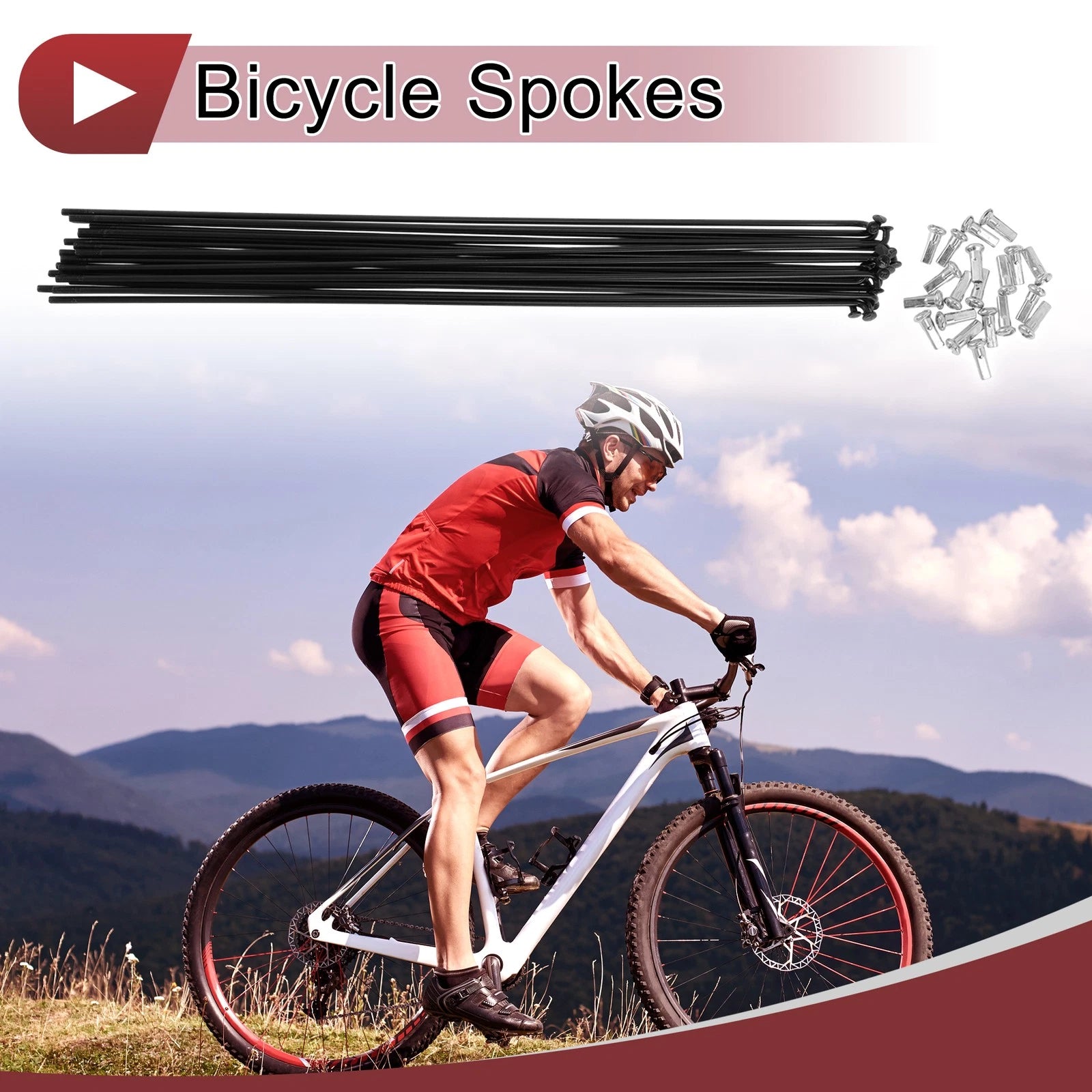 Bike Spokes 12G Carbon Steel 290 mm Replacement Set for Universal Bikes (—)