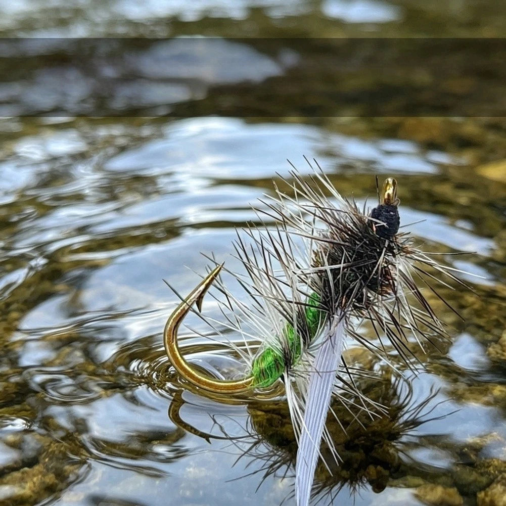 5 Pack Stonefly Dry Fly Lures WY1090 for Trout