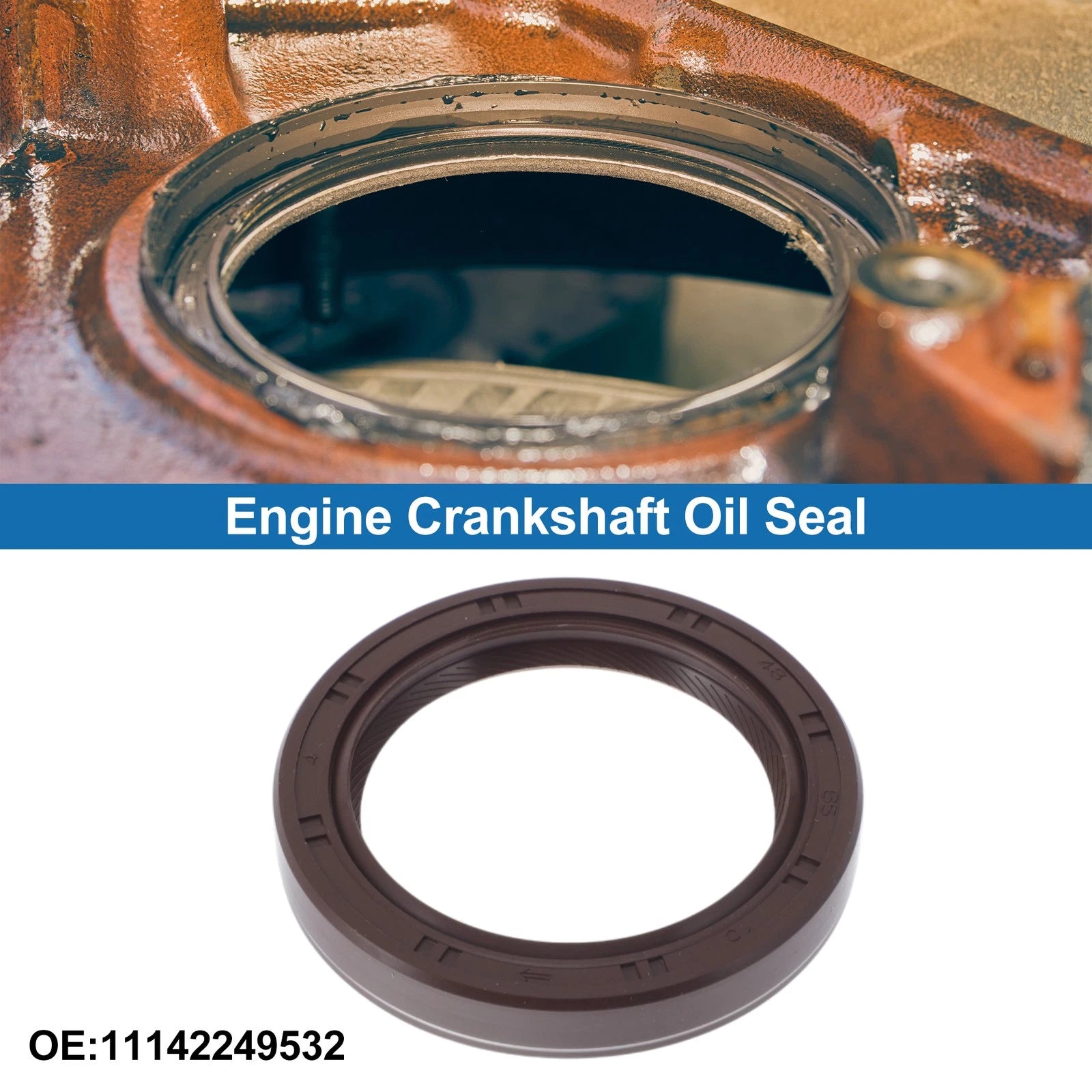 Front Crankshaft Oil Seal Replacement for BMW 5 Series (1995–2005)