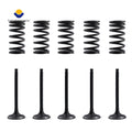 Cylinder Head Engine Valve & Valve Springs for Yamaha YFZ450 (2004–2009)