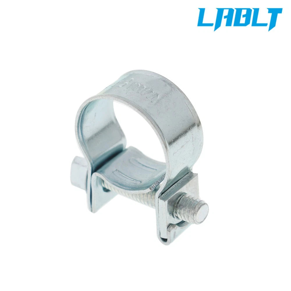 30PCS Fuel Injection Hose Clamp for Auto (Universal)