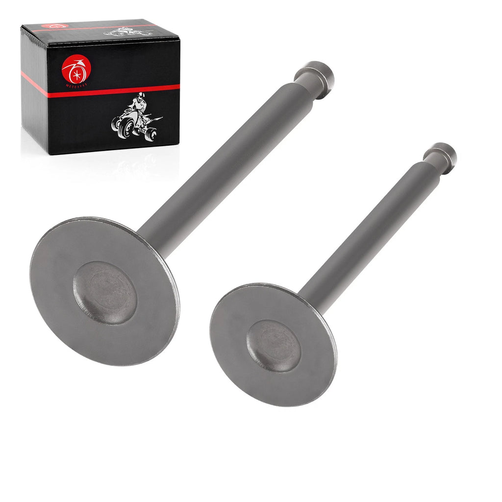 Set of 2 Exhaust Intake Valves for Club Car Golf Cart 341cc (1984–1991) 1012513 1012514