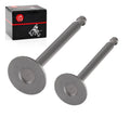 Set of 2 Exhaust Intake Valves for Club Car Golf Cart 341cc (1984–1991) 1012513 1012514