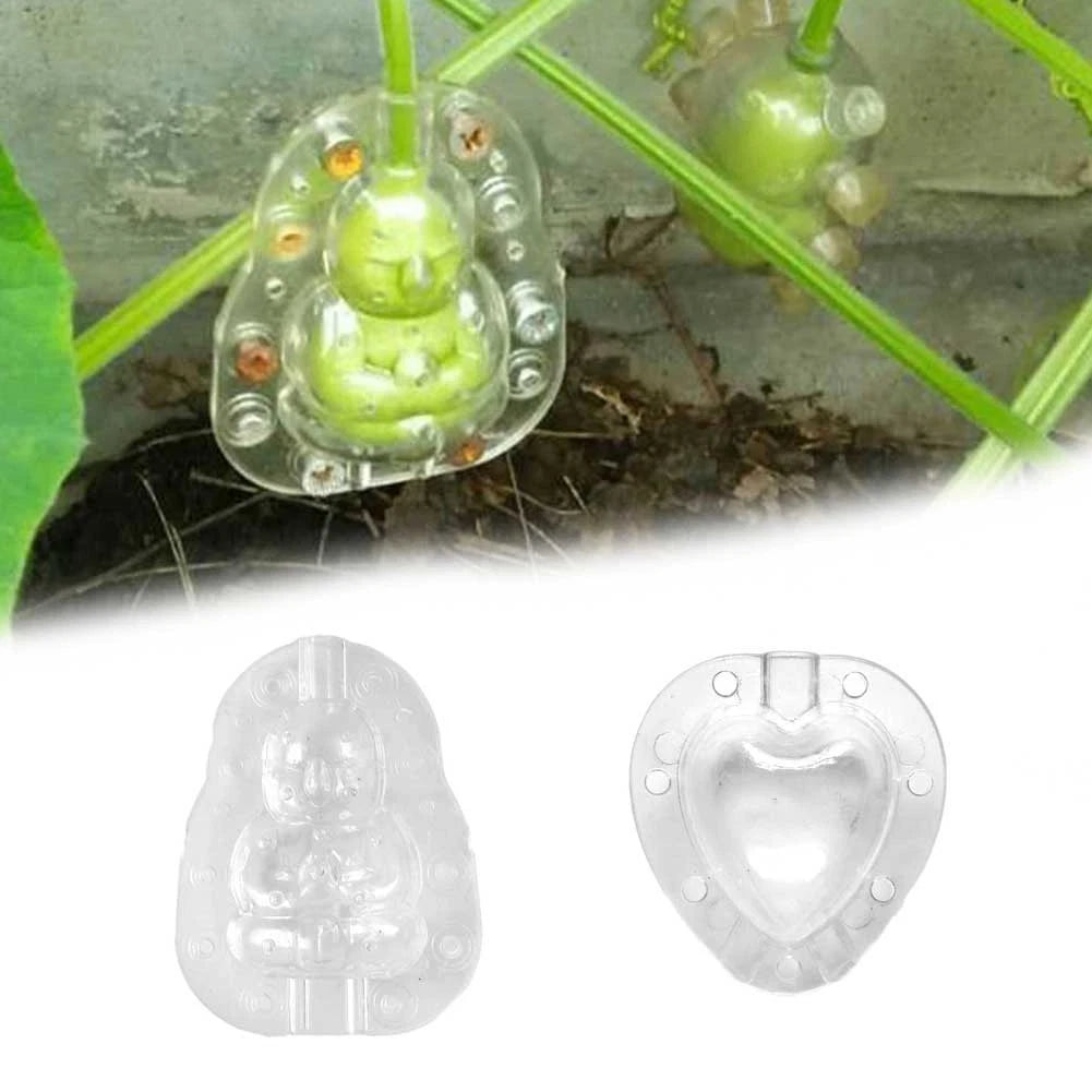 Heart Shaped Fruit Shaping Tool for Pears and More