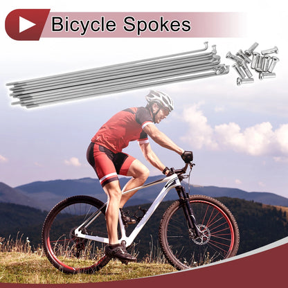 12 Set 304 Stainless Steel Bicycle Spokes 163mm for 14G Wheels (—)